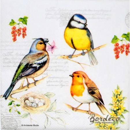 Serwetka decoupage firmy AMBIENTE ptaszki trzy 33x33cm